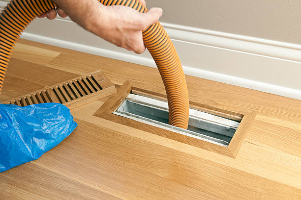 Best Affordable Air Duct Cleaning  in Trezevant, TN